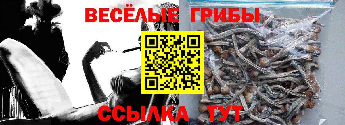Галлюциногенные грибы Magic Shrooms Сухой Лог